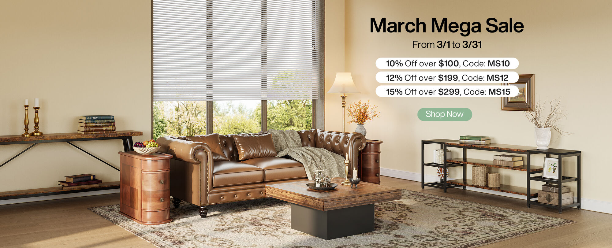 Unbeatable Deals at the March Mega Sale!